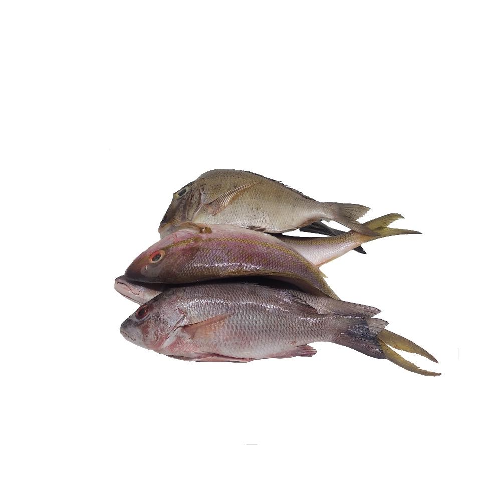  Bolsa de pescado de mar (4 kg / 8.8 lb)
